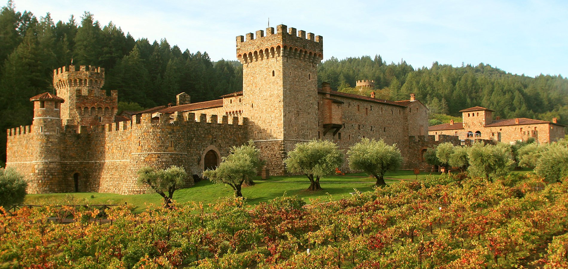Napa Valley Castle Winery in Calistoga | Castello di Amorosa
