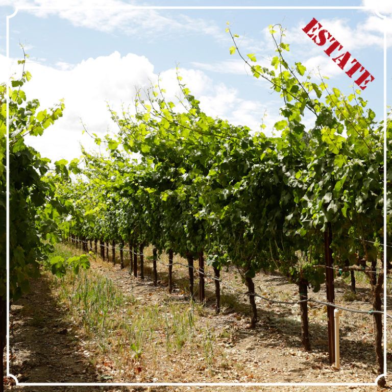 Our Vineyards Napa Valley AVA and Beyond Castello di Amorosa