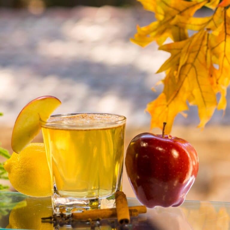Autumn Apple Mocktail Recipe